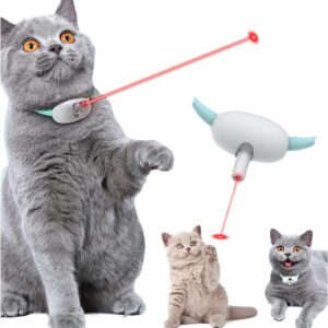 Amusing Collar for Kitten