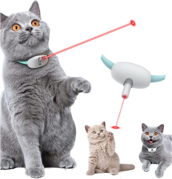 Amusing Collar for Kitten