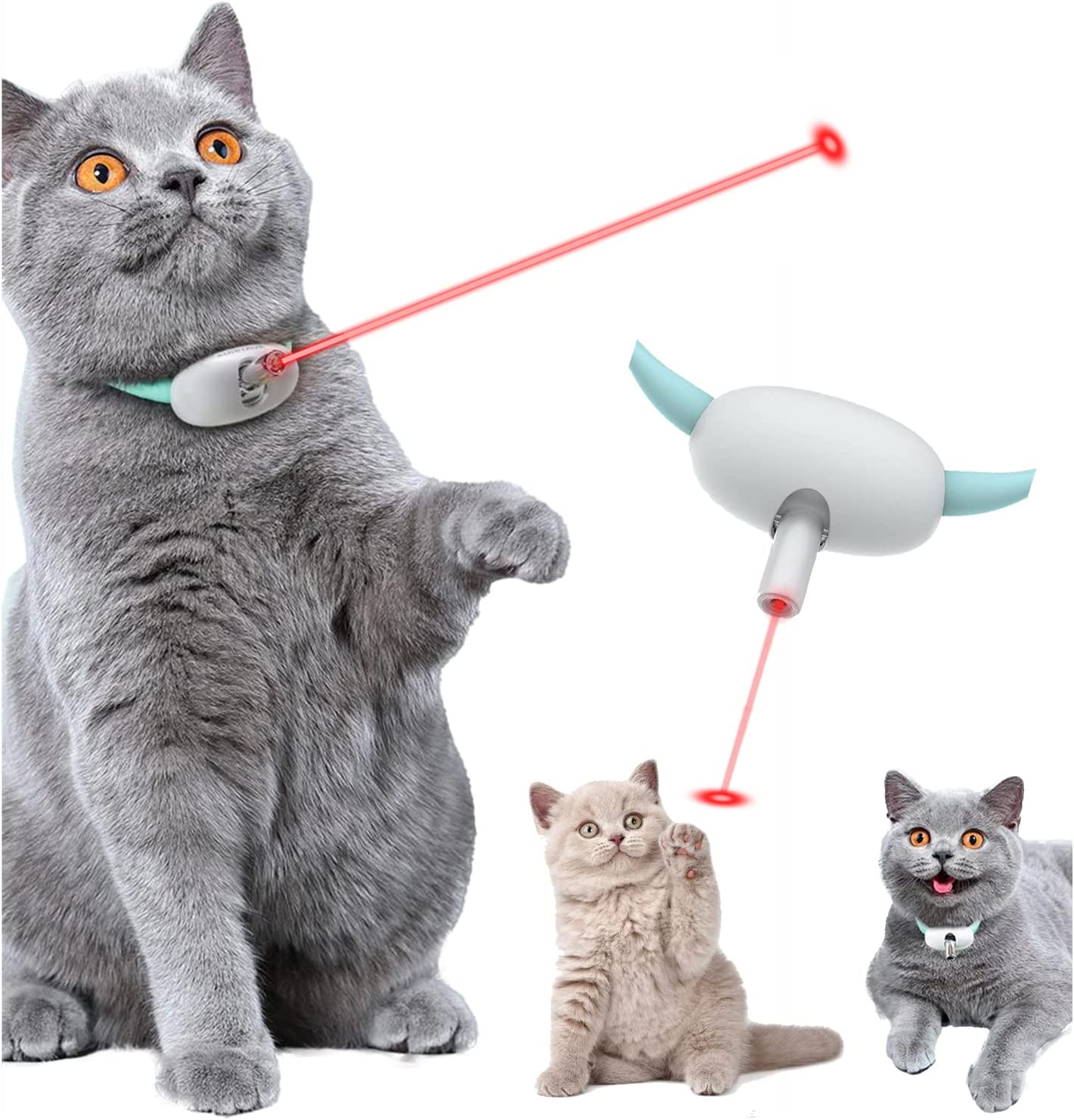 Amusing Collar for Kitten