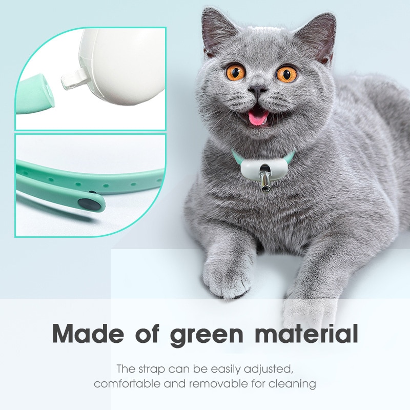 Amusing Collar for Kitten - Image 2
