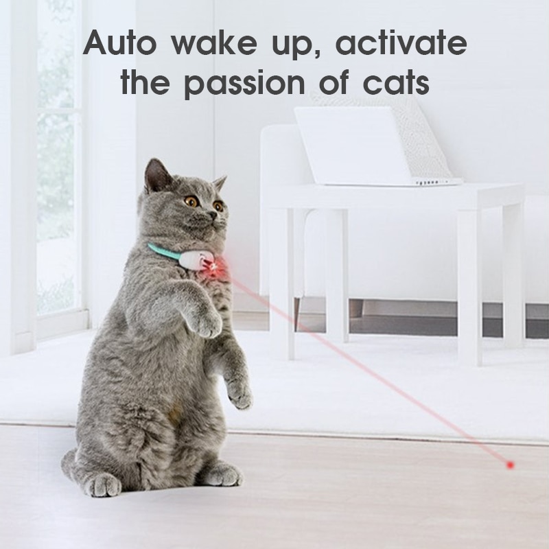 Amusing Collar for Kitten - Image 3