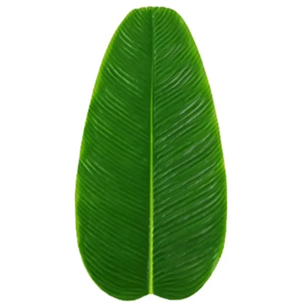 Banana Leaf Mat - Image 5