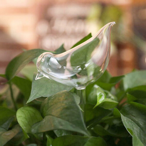 Bird Shaped Plant Self Watering Glass Globes - Image 8