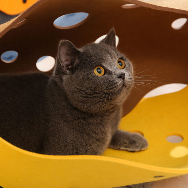 Cat Tunnel Toy - Image 2