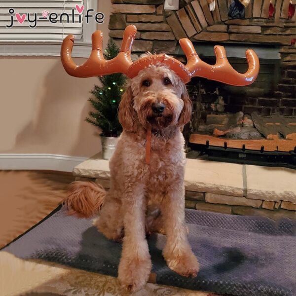 Christmas Reindeer Ring Toss Game-Standard Set - Image 4