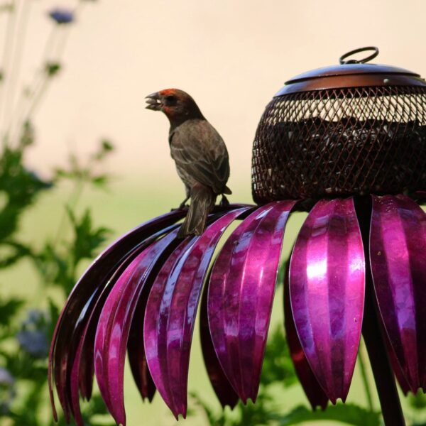 Coneflower Bird Feeder - Image 3