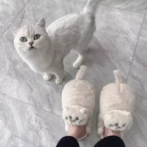 Hugger Cat Slippers  Posted 2 years and 10 months ago