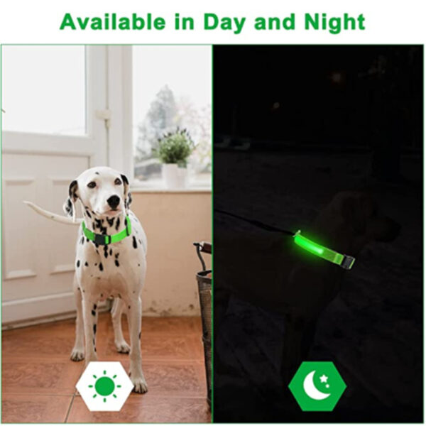LED Flashing Dog Collar - Image 3