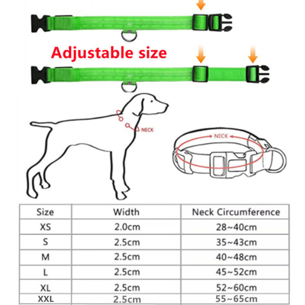 LED Flashing Dog Collar - Image 4