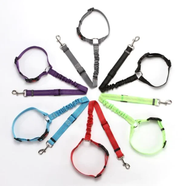 New Design Car Dog Leash - Image 2