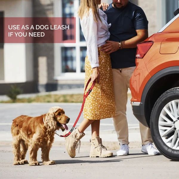 New Design Car Dog Leash - Image 3