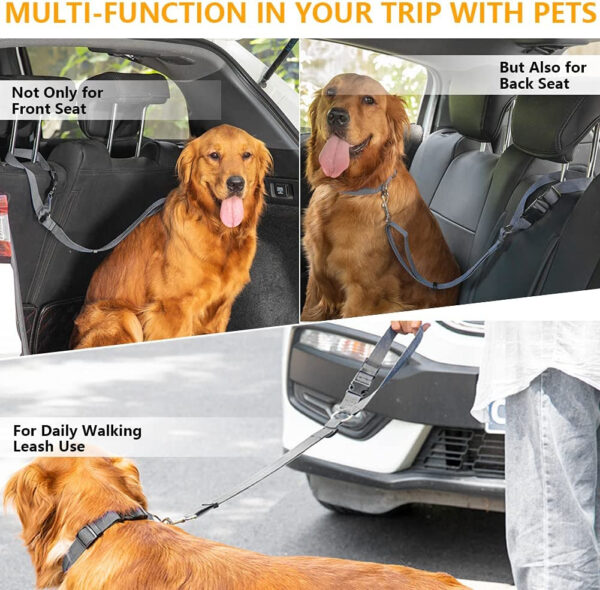 New Design Car Dog Leash - Image 6