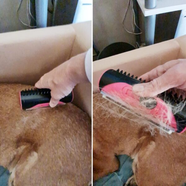 Pet Hair Remover Brush - Image 4