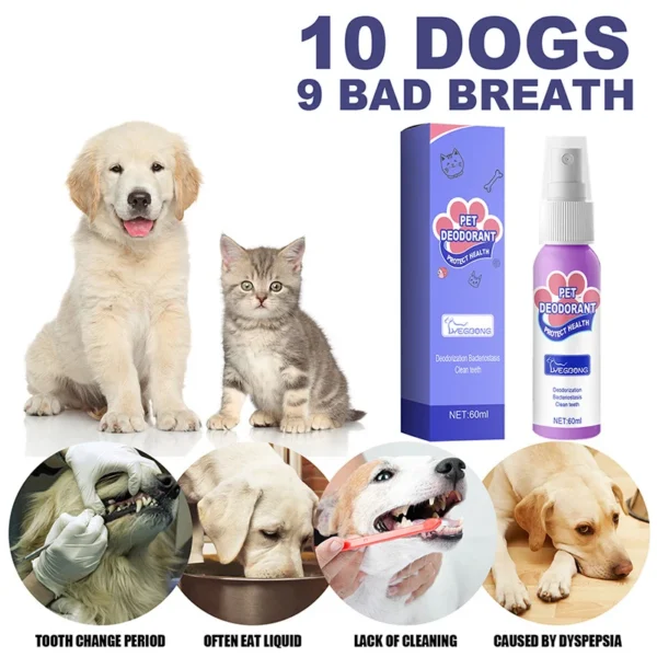 Pet Oral Cleaning Freshener Spray - Image 5