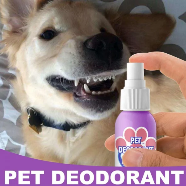 Pet Oral Cleaning Freshener Spray - Image 6
