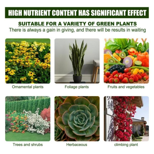 Plant Nutrient Solution - Image 5