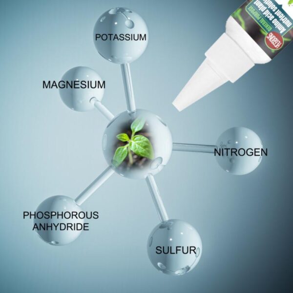 Plant Nutrient Solution - Image 6