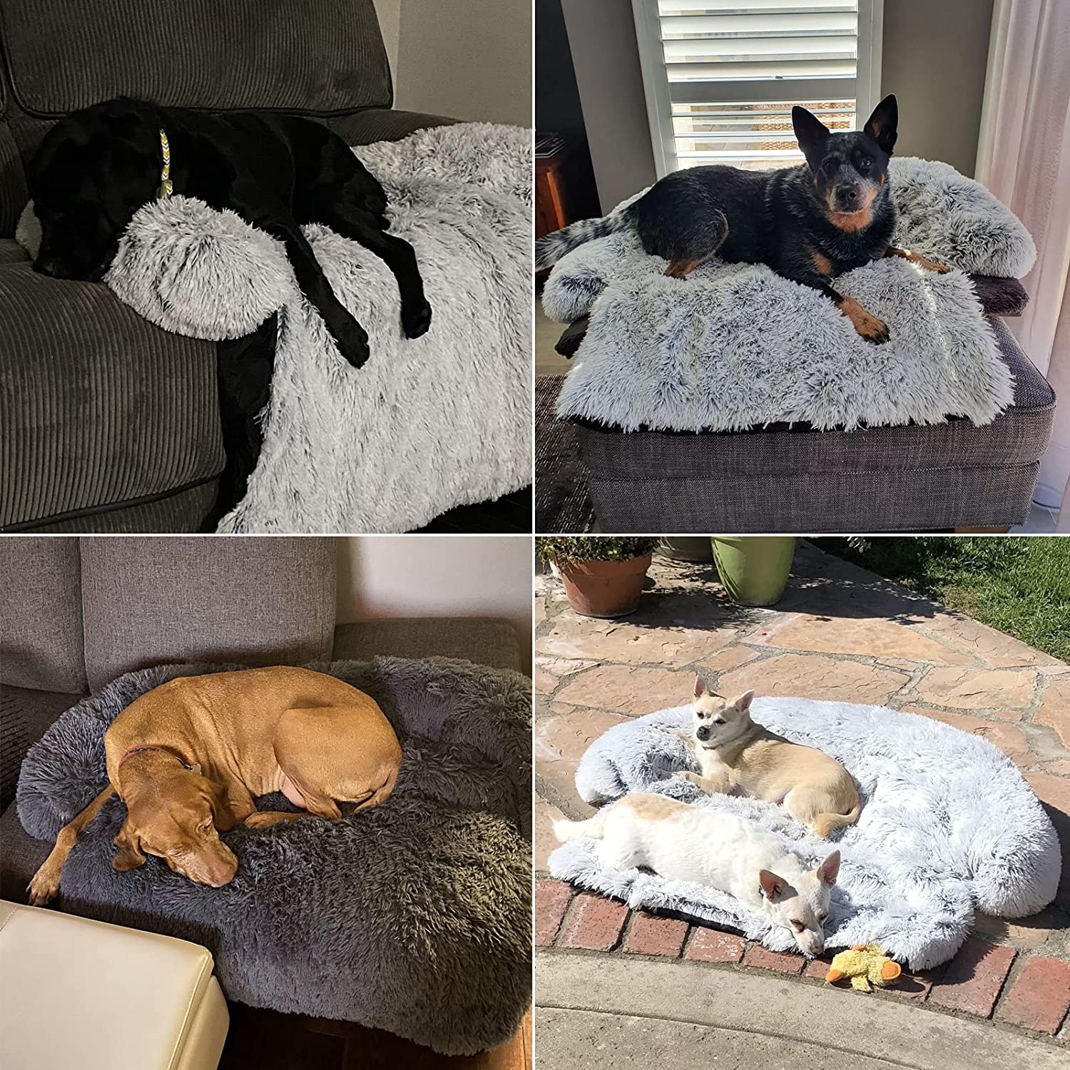 Sofa Plush Calming Dog Blanket - Image 12