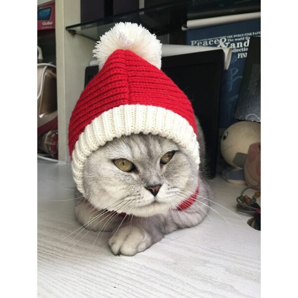 Stylish Pet woollen Hat - Image 2