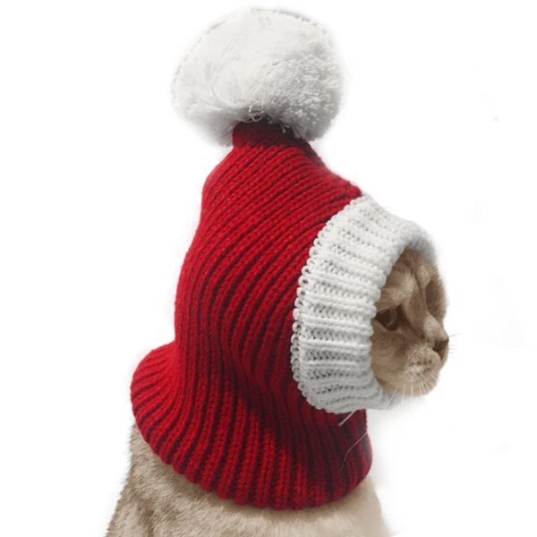 Stylish Pet woollen Hat - Image 3