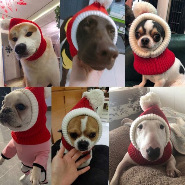 Stylish Pet woollen Hat - Image 5