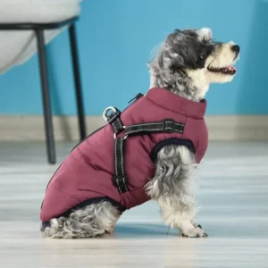 3 in 1 Winter Dog Jacket