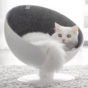 Cool Cat Bed