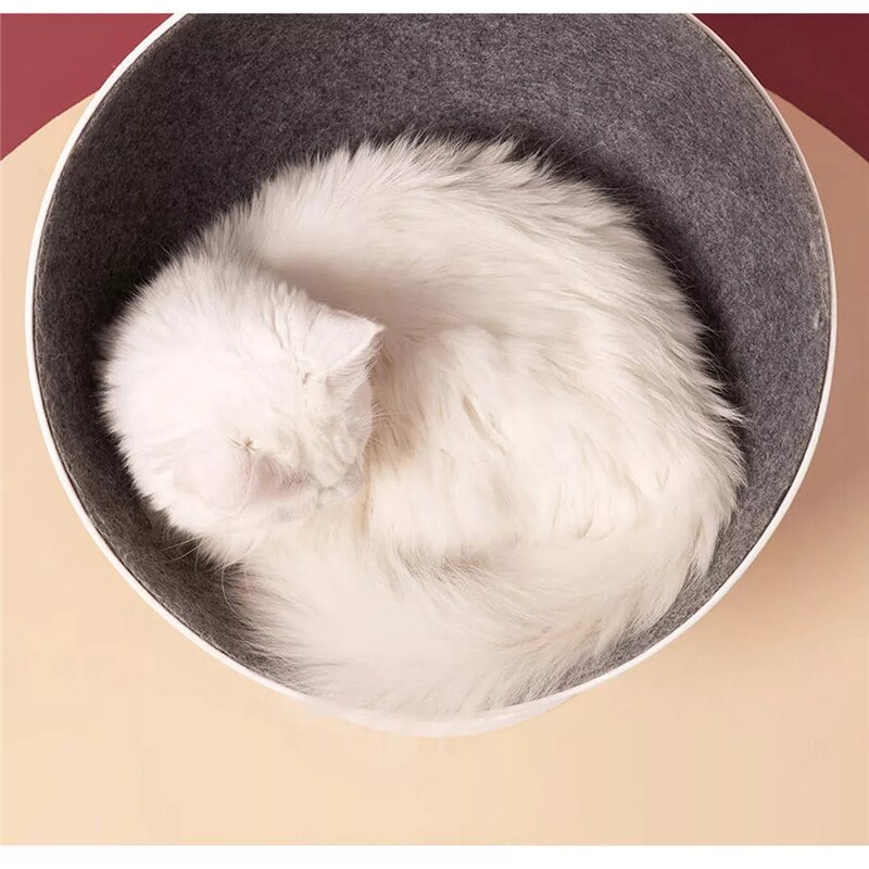 Cool Cat Bed - Image 3