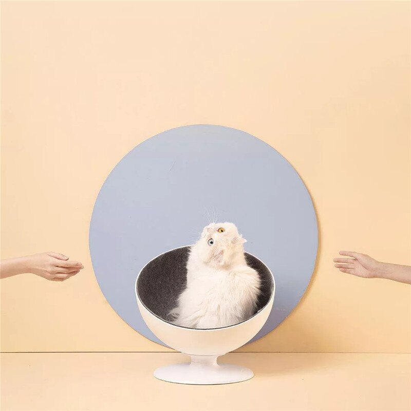 Cool Cat Bed - Image 5