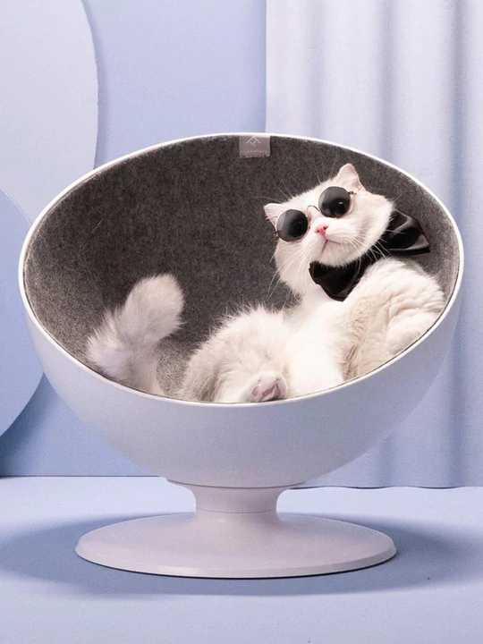Cool Cat Bed - Image 6