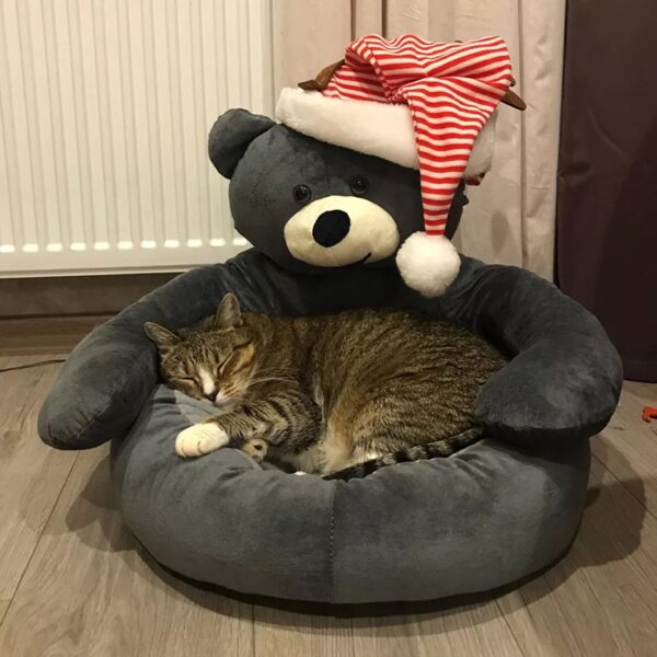 Cute Bear Hug Pet Bed - Image 3