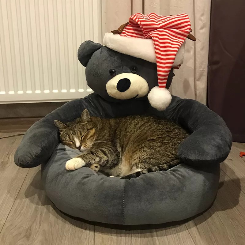 Cute Bear Hug Pet Bed - Image 3
