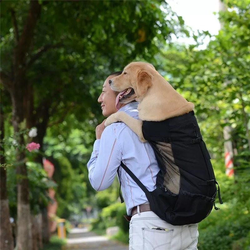 Dog Backpack Sack Carrier - Image 3