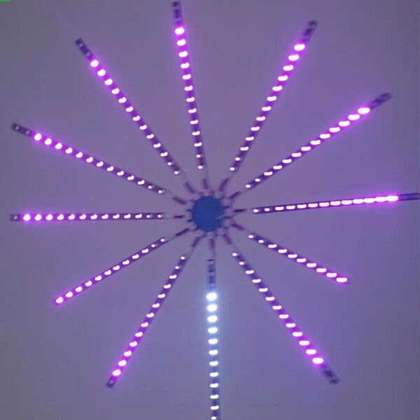 FIREWORK LED LIGHTS - Image 2