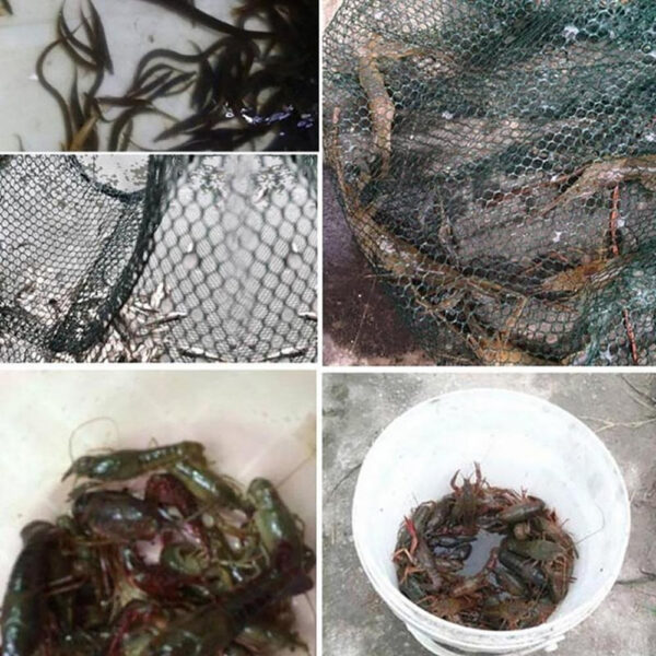 Foldable Fishing Hexagon Fishing Net Trap - Image 2