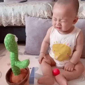 Funny Talk-Back Dancing Cactus