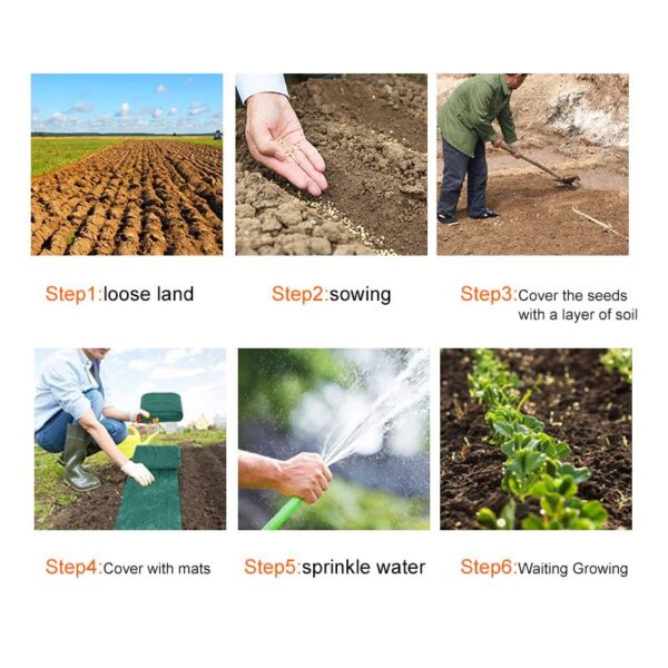 Grass Seed Mat - Image 2