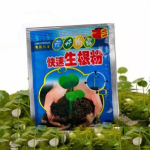 Growth Rooting Powder Plus-10pcs