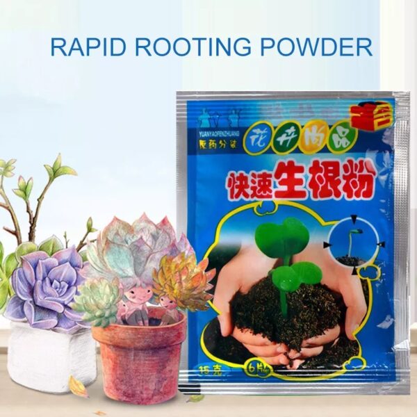 Growth Rooting Powder Plus-10pcs - Image 4