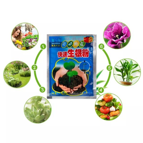 Growth Rooting Powder Plus-10pcs - Image 5