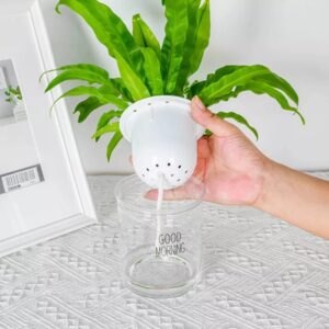 Hydroponic Flowerpot