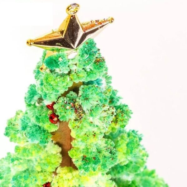 Magic Growing Christmas Tree - Image 6