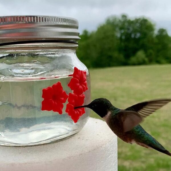 Mason Jar Hummingbird Feeder - Image 3