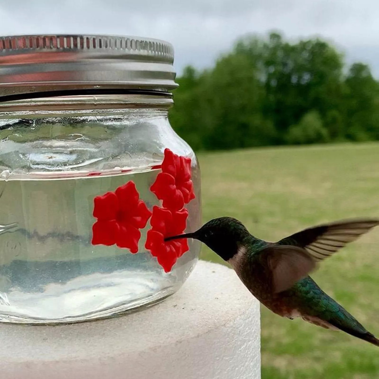 Mason Jar Hummingbird Feeder - Image 3