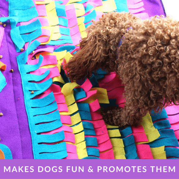 Pet Sniffing Puzzle Toy - Image 3