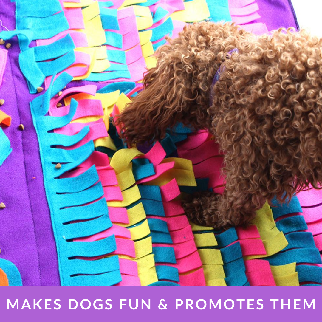 Pet Sniffing Puzzle Toy - Image 3