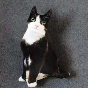 Realistic Cat Cushion