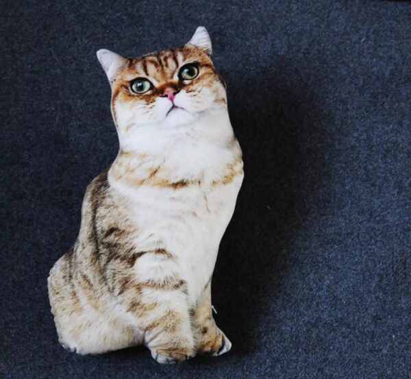 Realistic Cat Cushion - Image 2