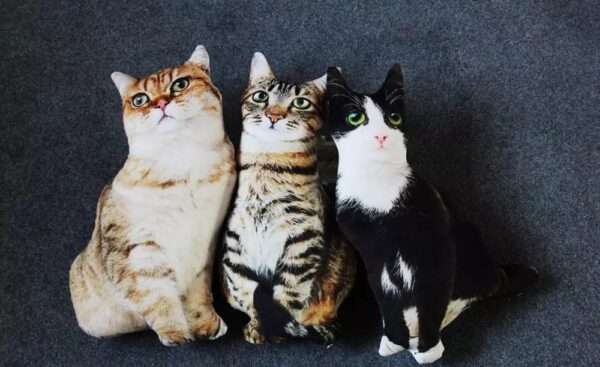 Realistic Cat Cushion - Image 3