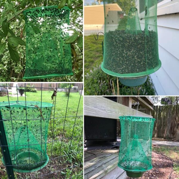 Reusable Fly Trap with Bait Tray - Image 2